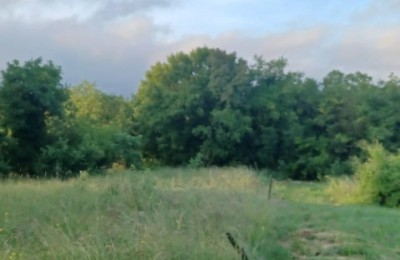 Baugrundstück in ruhiger Lage inmitten der Natur - 6 km vom Meer entfernt