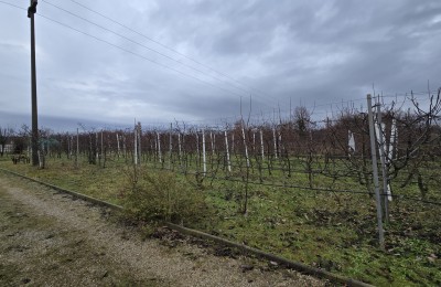 Agricultural land with legalized building next to the main road - 5 km from Poreč