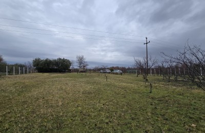 Agricultural land with legalized building next to the main road - 5 km from Poreč