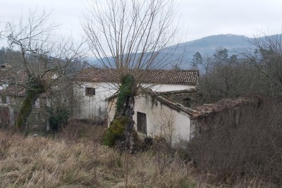 Opportunity .... A rural property for renovation